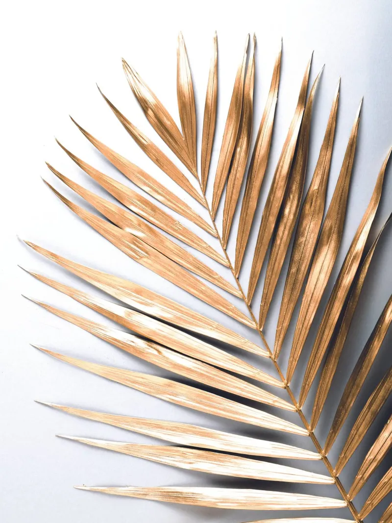 Gouden palmblad - Botanische Minimal Art canvas van Whole©