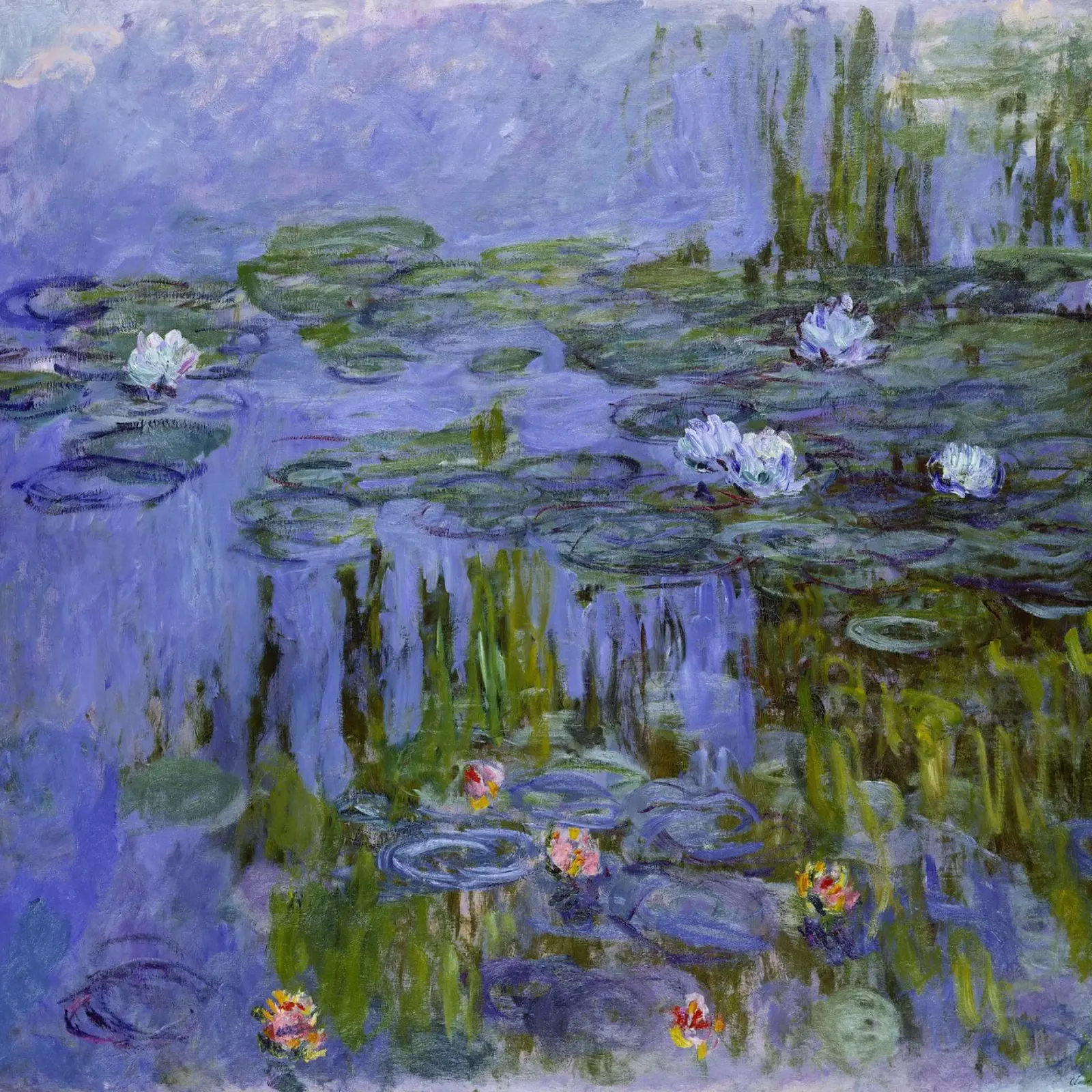 Monet - Nymphéas pellicola backlit da ARTOTHEK