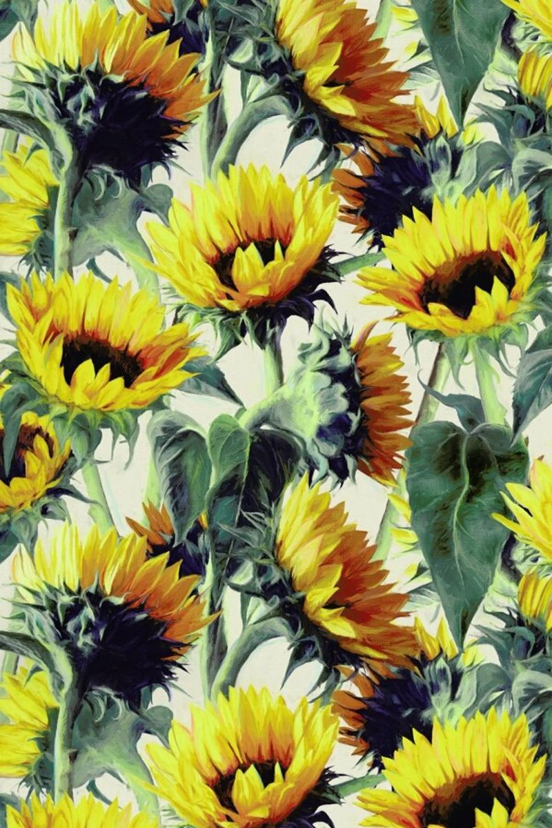 Sunflowers Forever poster by Micklyn Le Feuvre