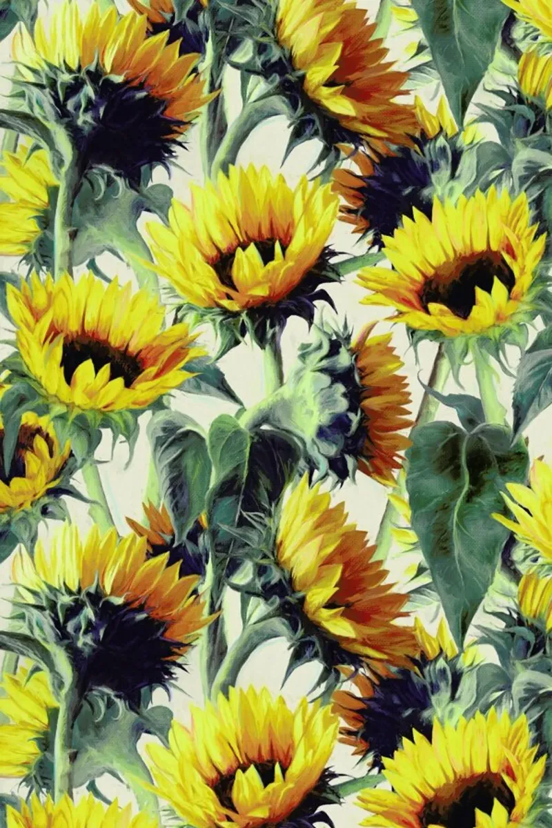 Sunflowers Forever poster con telaio in plastica da Micklyn Le Feuvre