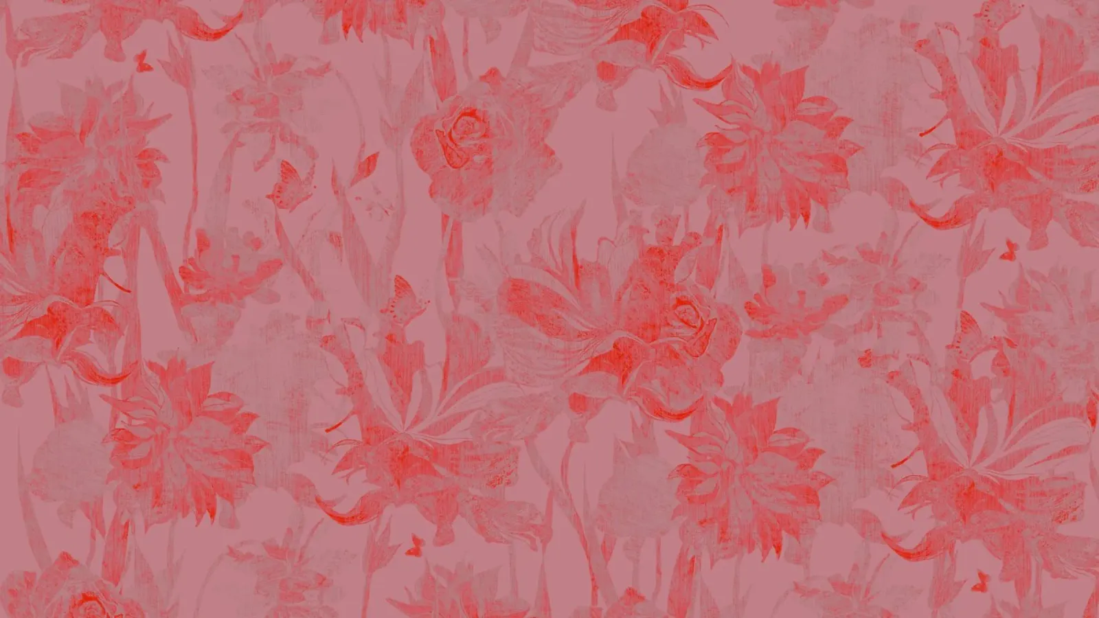 red flowers alu-dibond by Giulio Iurissevich
