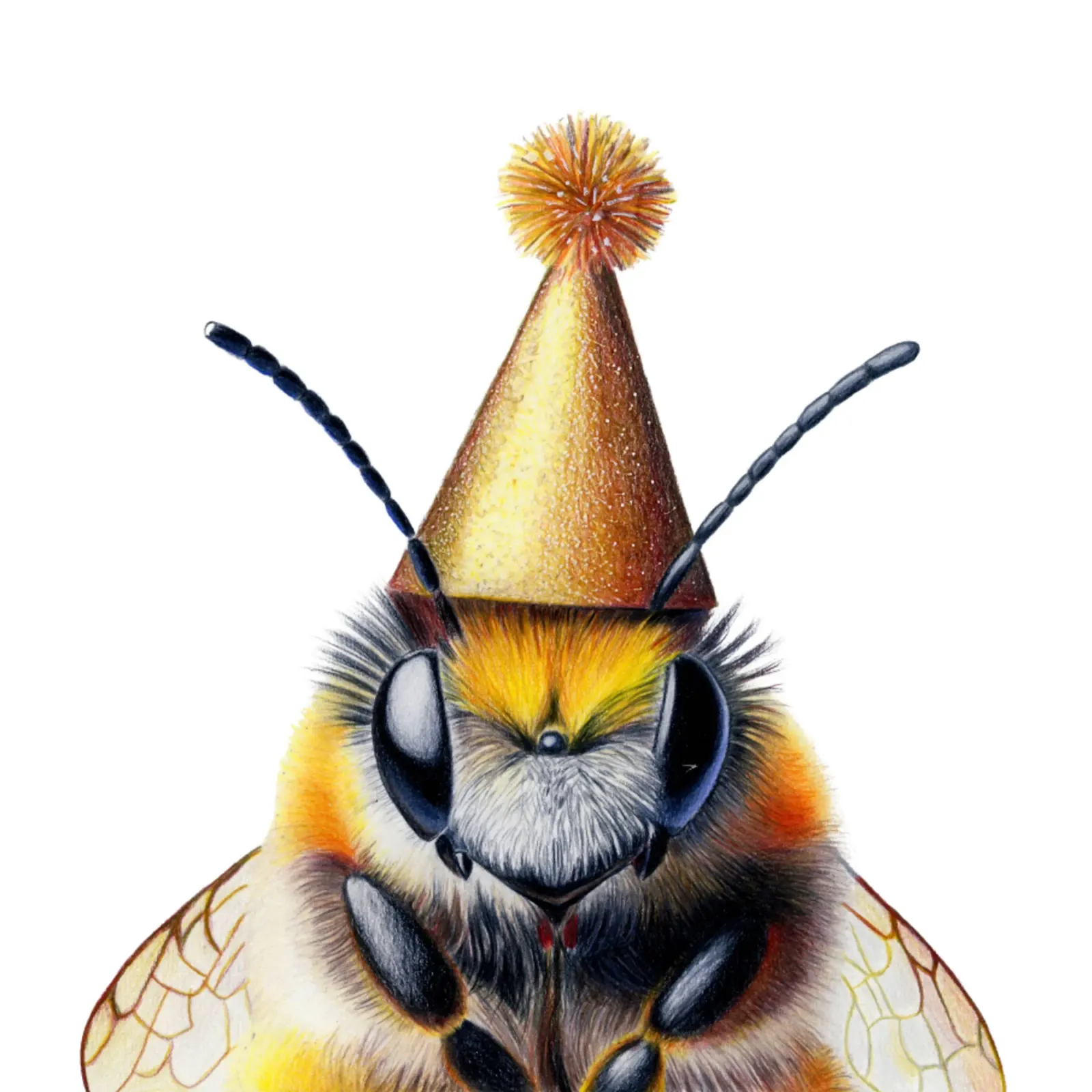 Party Bee canvas by Graphit und Farbe