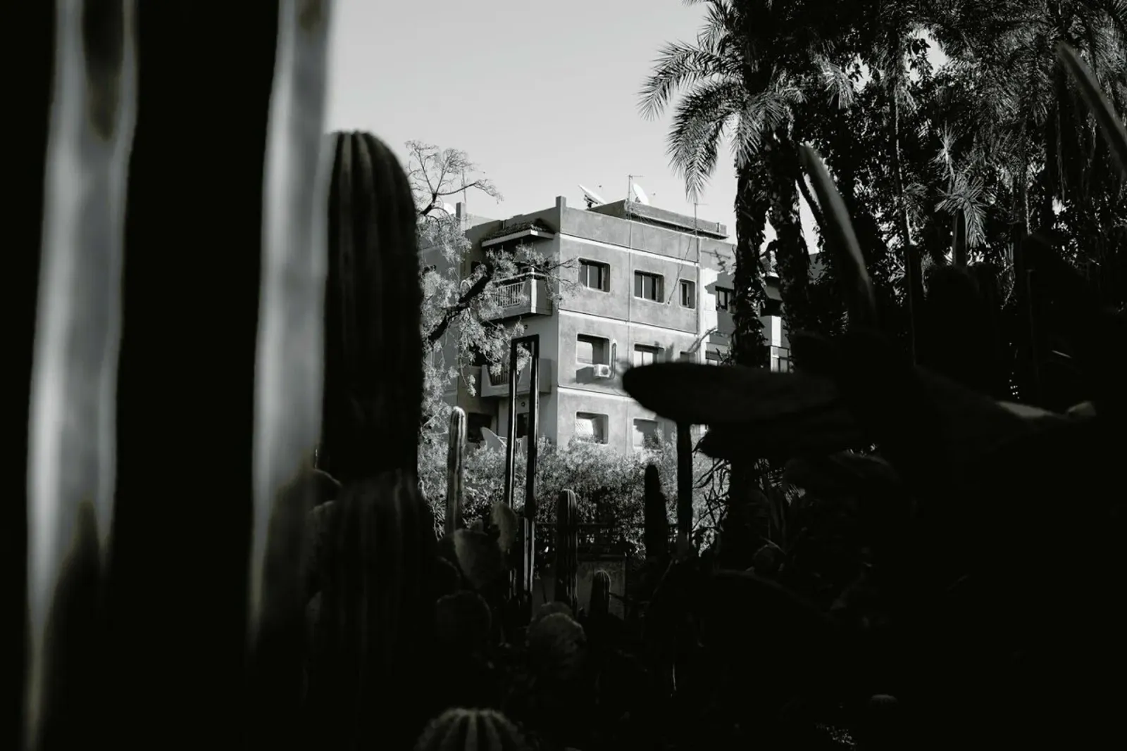 Marrakesh Paradise 13 pellicola backlit da Paul Aidan Perry