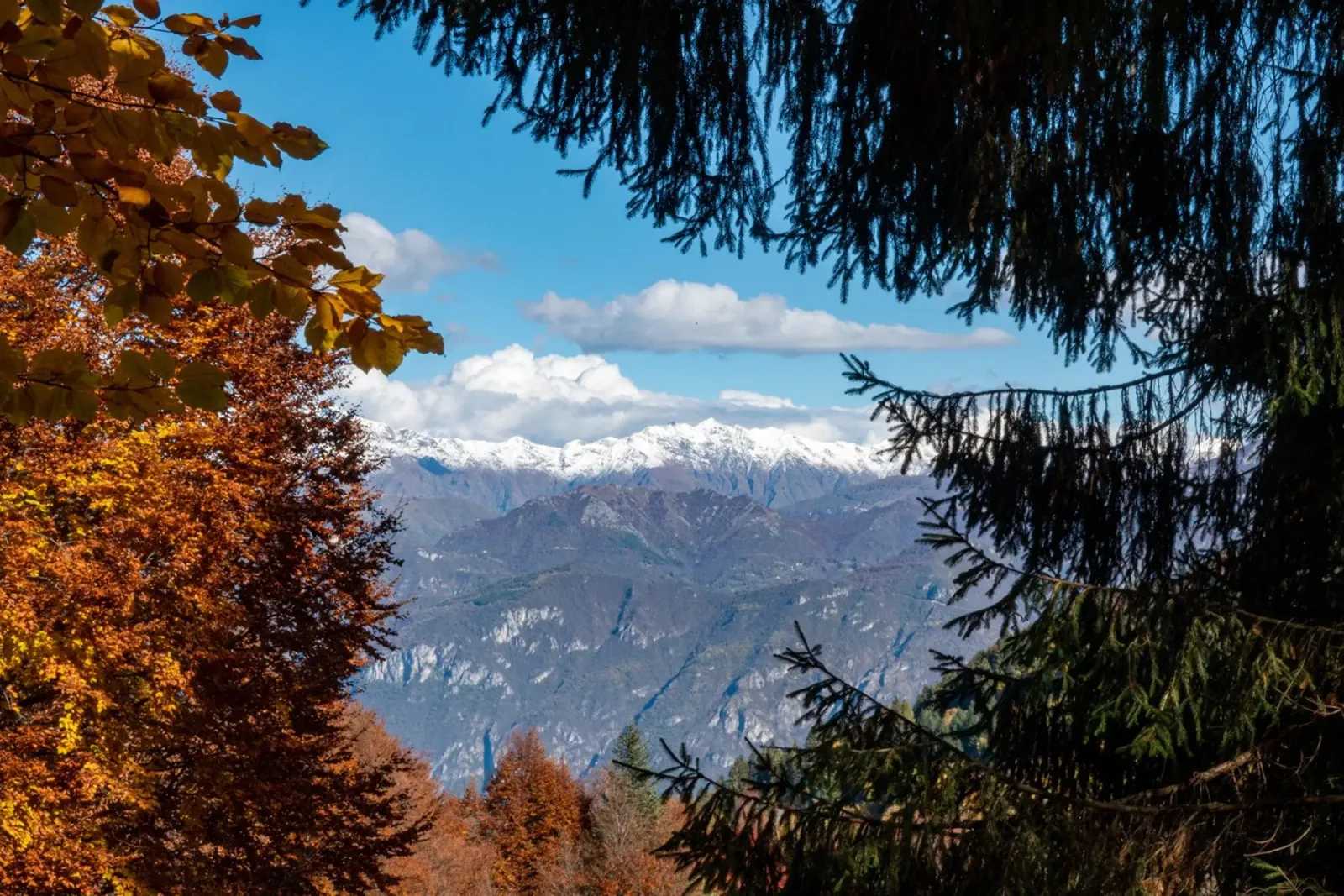 Snowy mountains and autumn colours pellicola backlit da anderm