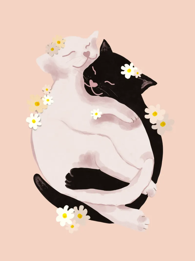 Cuddling Cats carta hahnemühle da Illustration Raissa Oltmanns