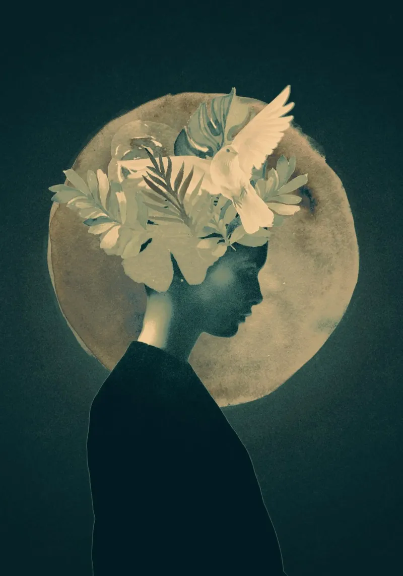 Signora del chiaro di luna poster con telaio in alluminio da dada22