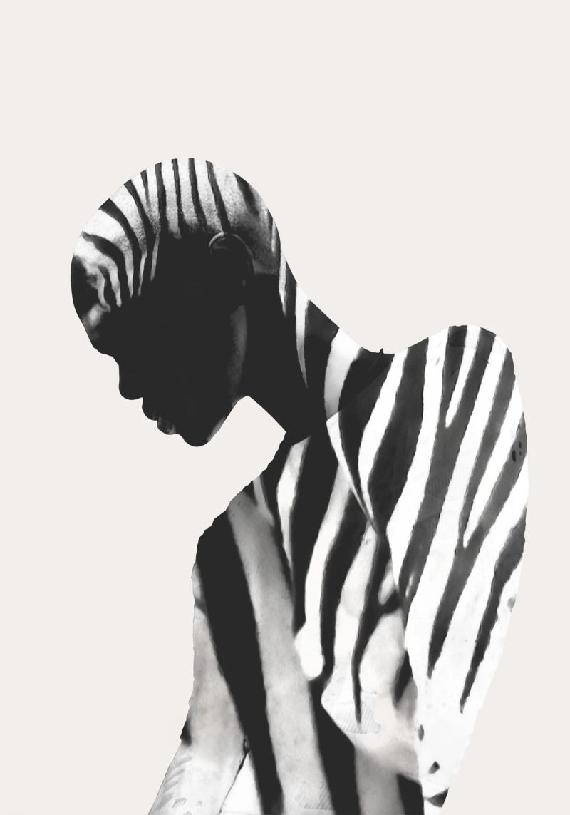 Zebra pellicola backlit da dada22