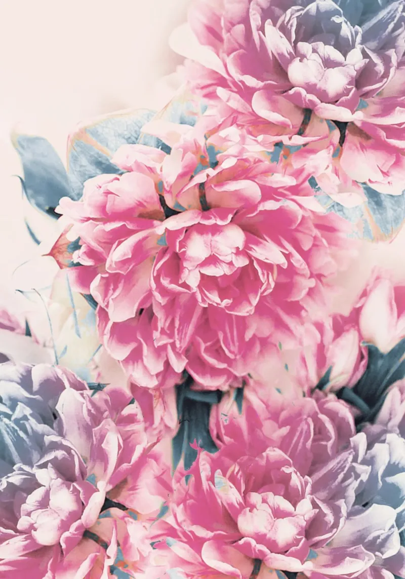 fiori bellissimi poster con telaio in legno da dada22