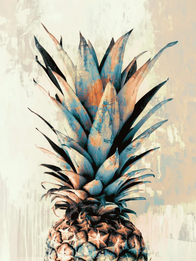 PINEAPPEL 3 Hahnemühle von dada22