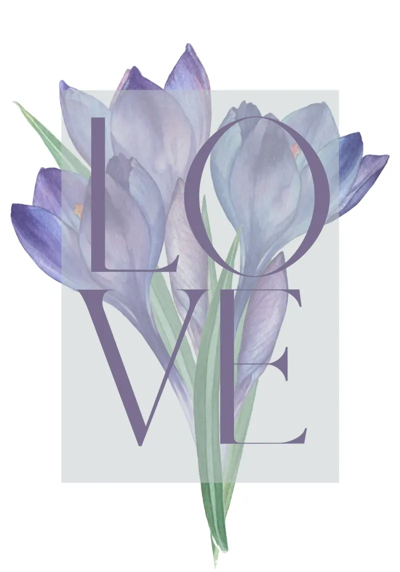 Amore in fiore poster con telaio in plastica da DesignArt
