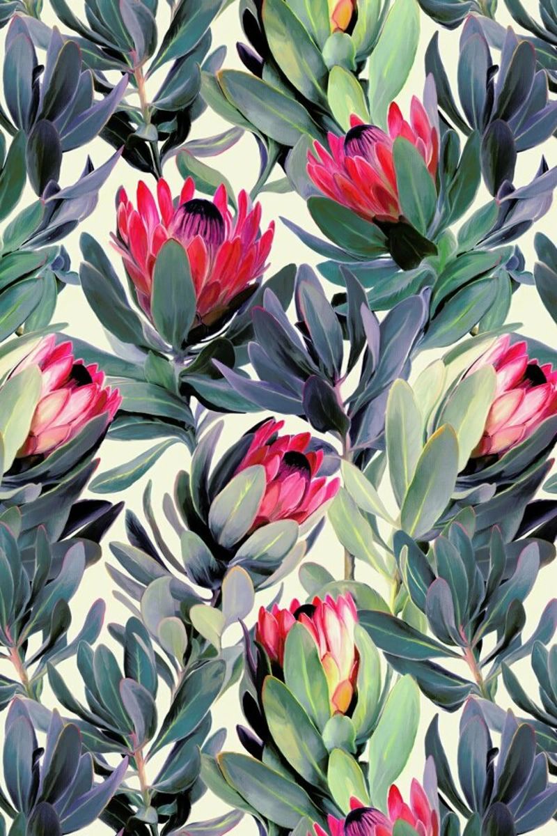 Painted Protea Pattern pellicola backlit da Micklyn Le Feuvre