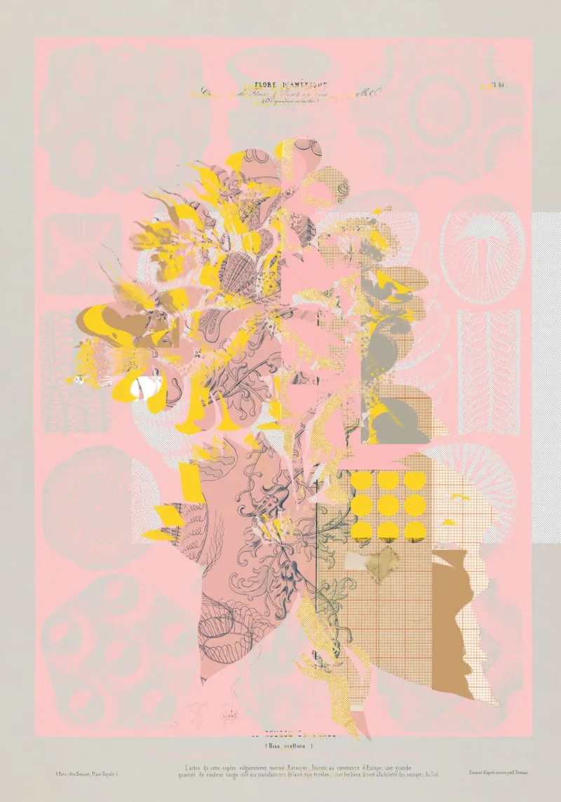 the first plant · tuesday mix mit resten pellicola backlit da Marko Köppe
