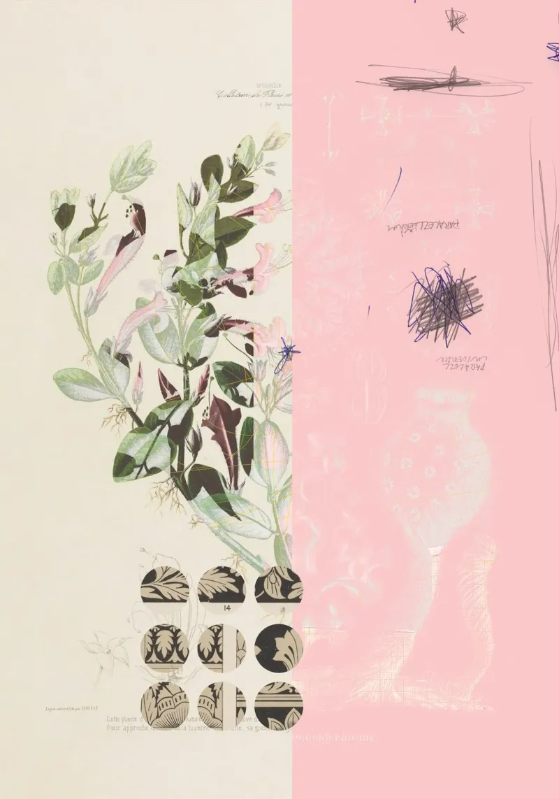 the first plant · mix it up sunday pellicola backlit da Marko Köppe