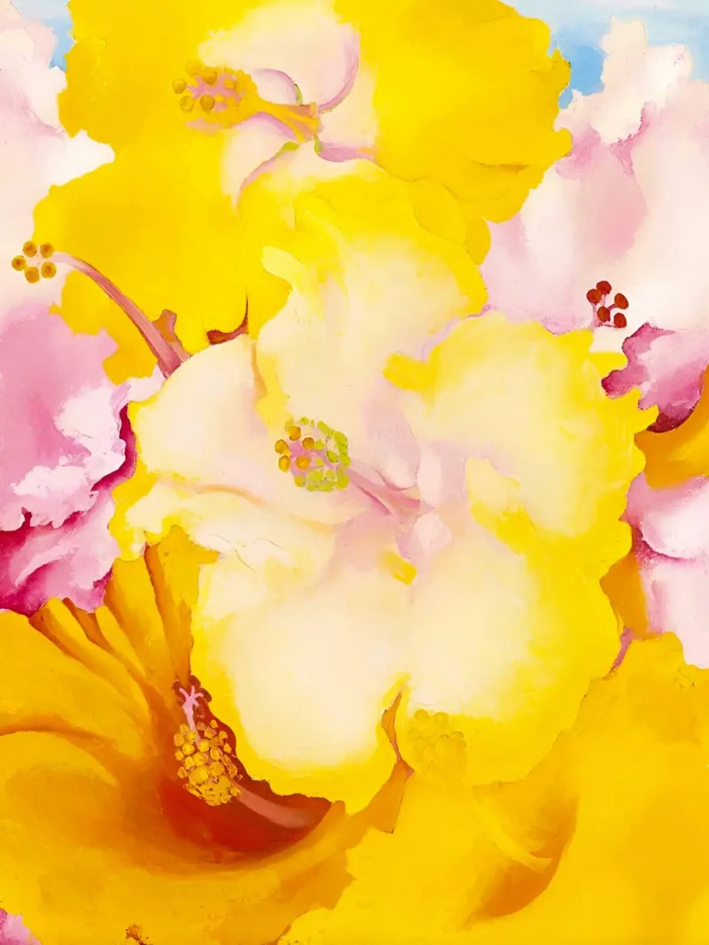 Georgia O'Keeffe Blumen Alu-Dibond von Kinsley