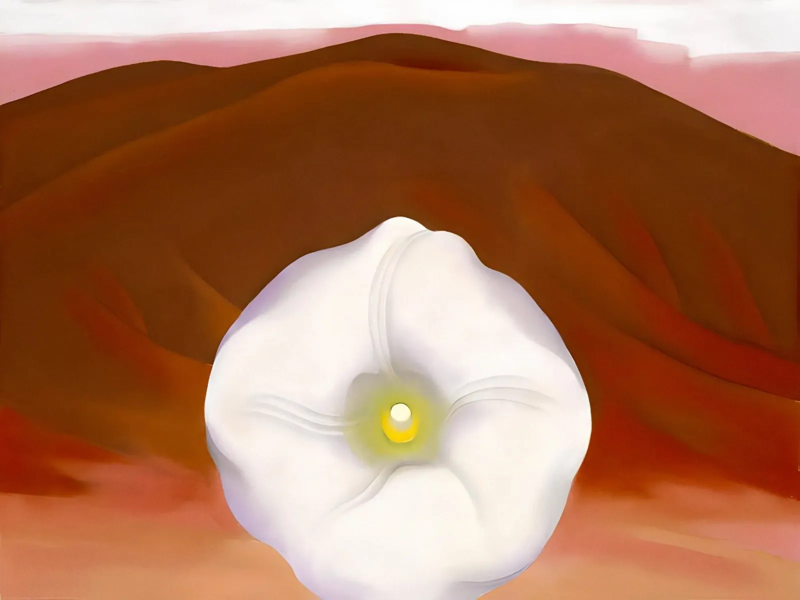 Georgia O'Keeffe Colline rosse e fiori bianchi pellicola backlit da Kinsley