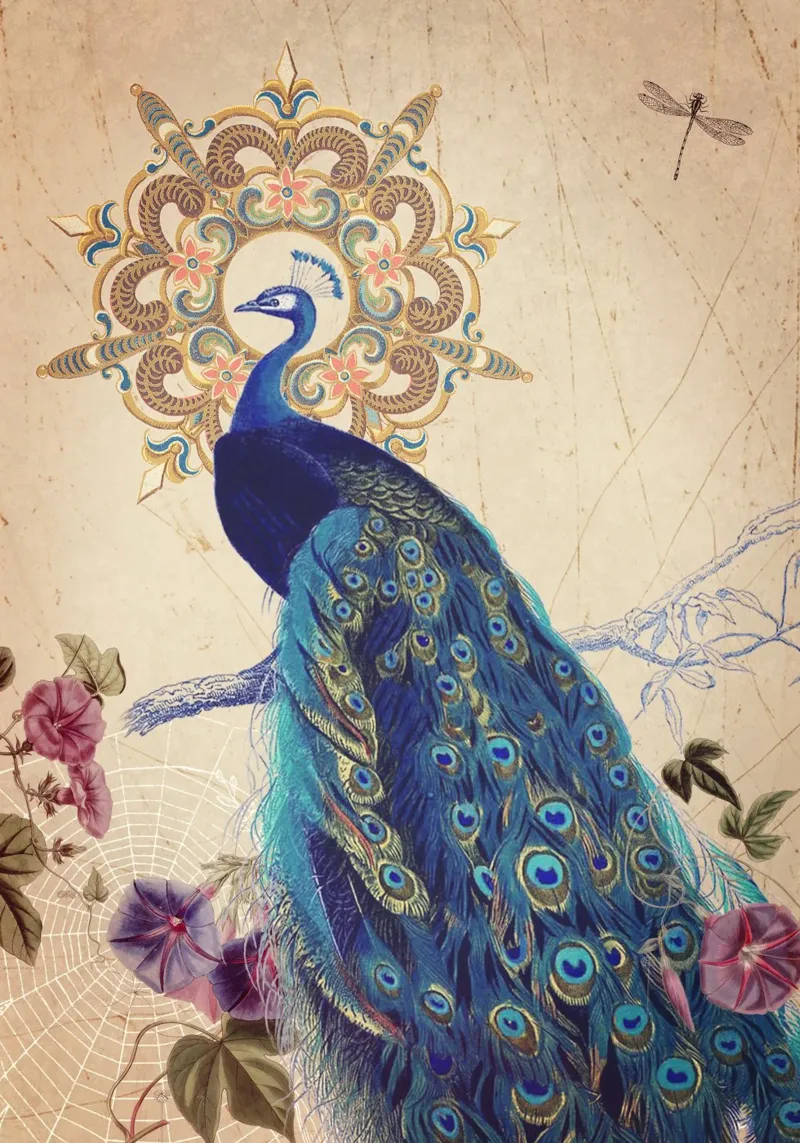 Espíritu índigo metacrilato de Eva Nev