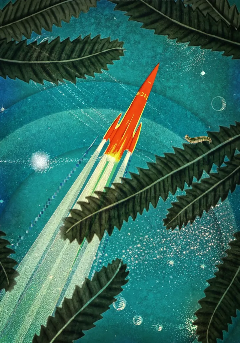 Space Trip Collage hahnemühle by Eva Nev