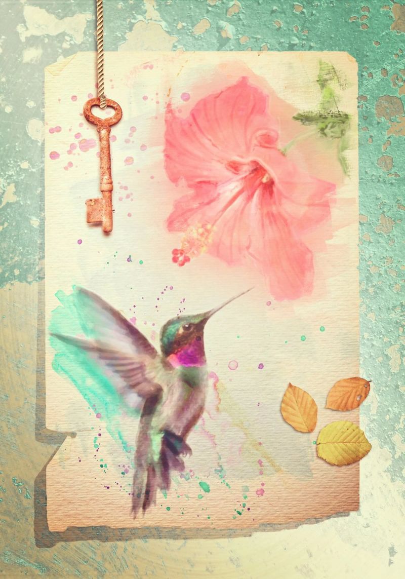 Hummingbird and Hibiscus poster by Eva Nev