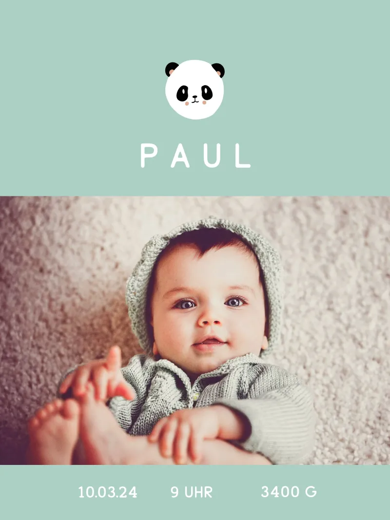 Panda Baby poster con telaio in alluminio da mymia