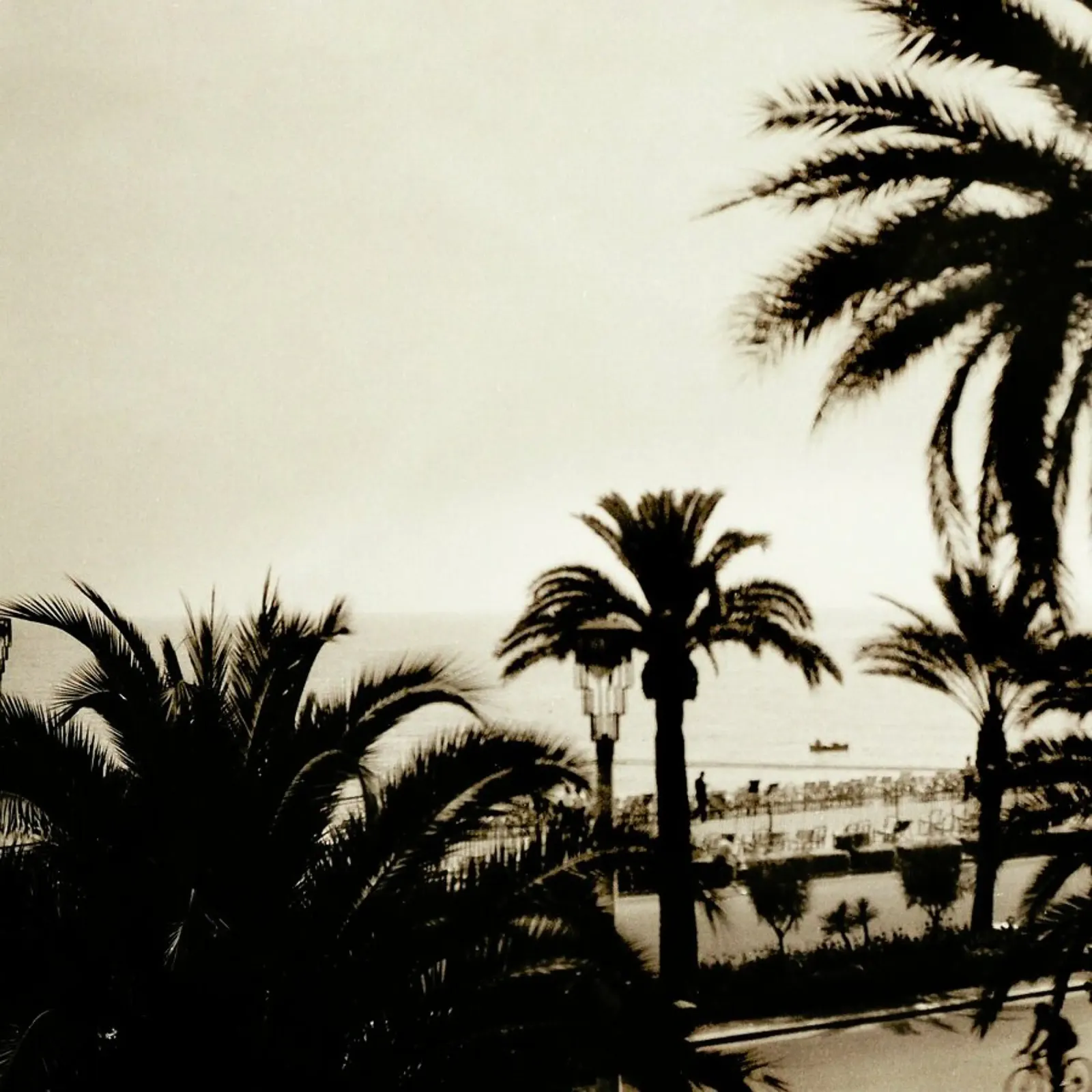 Glorious Days pellicola backlit da Sophie Etchart
