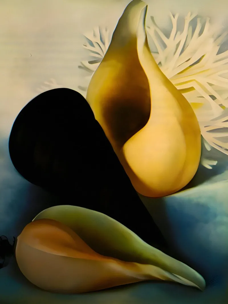 Georgia O'Keeffe - Tres conchas, 1937 metacrilato de Kinsley