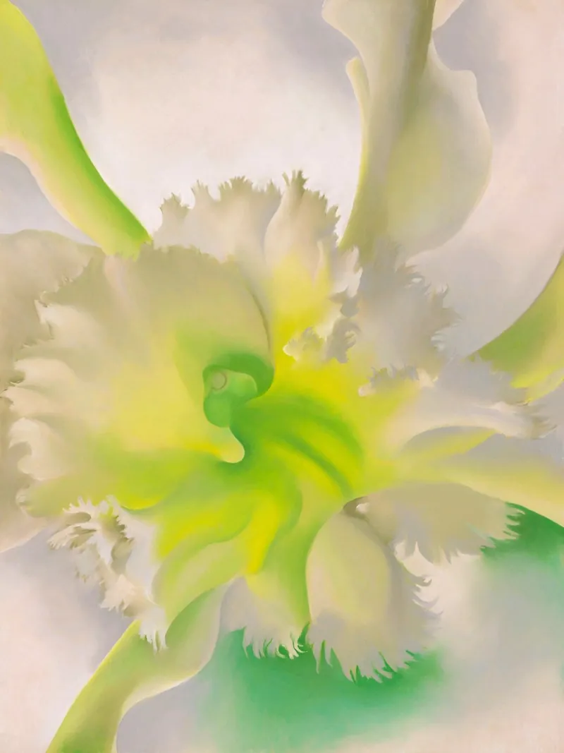 Georgia O'Keeffe - Un'orchidea, 1941 pellicola backlit da Kinsley