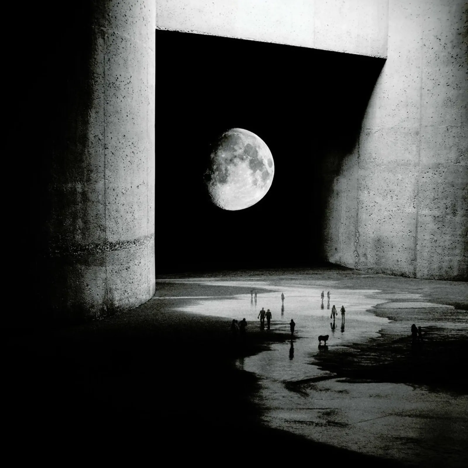 To the Moon pellicola backlit da Stoian Hitrov