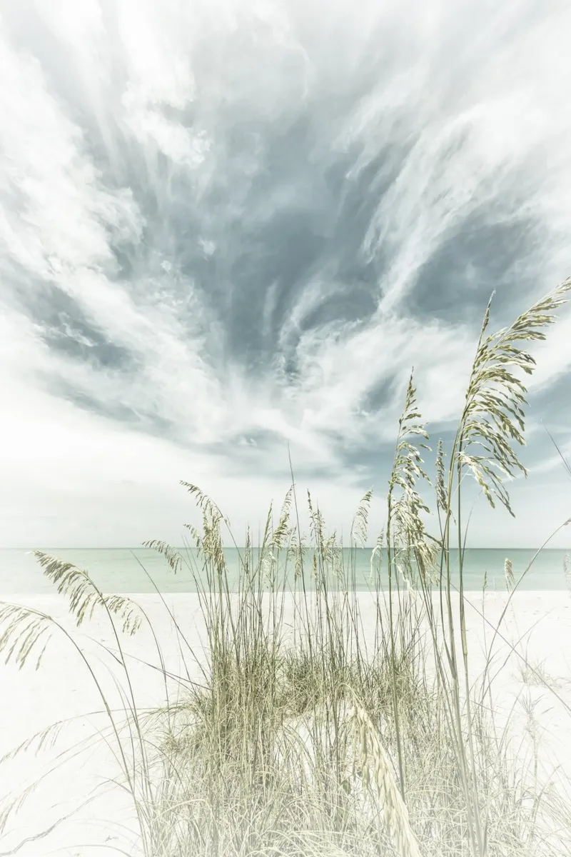 Silenzio celestiale sulla spiaggia | Vintage pellicola backlit da Melanie Viola