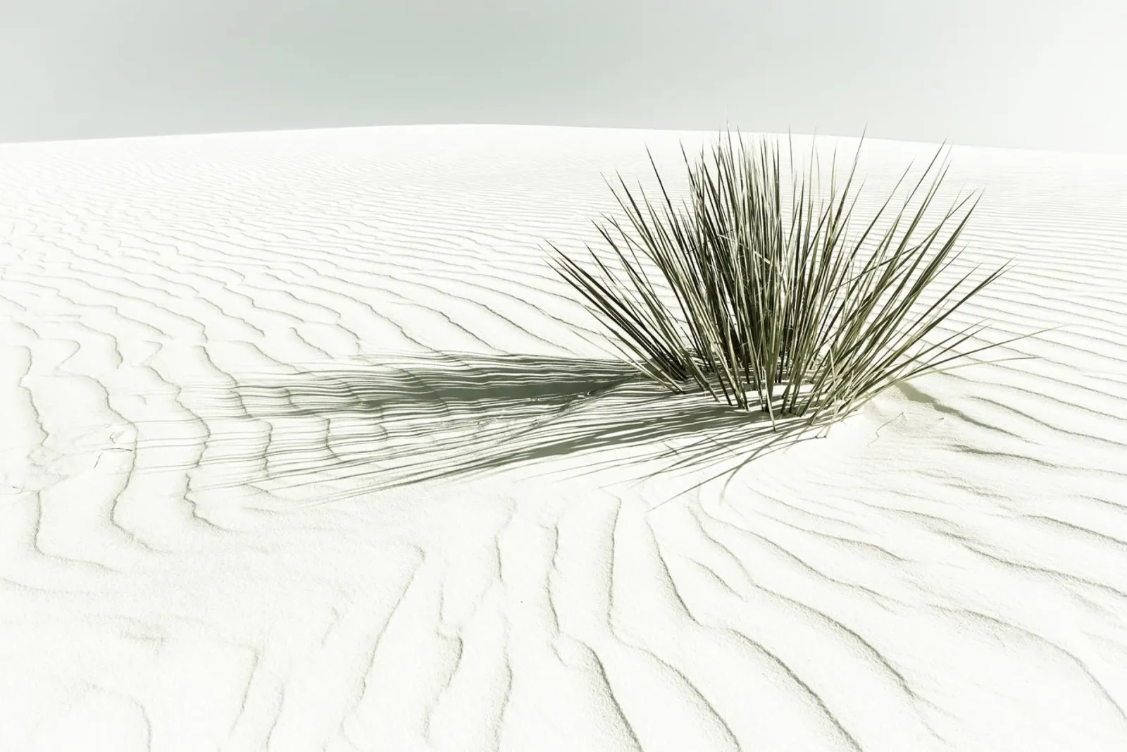 Dunes, White Sands National Monument | Vintage canvas by Melanie Viola