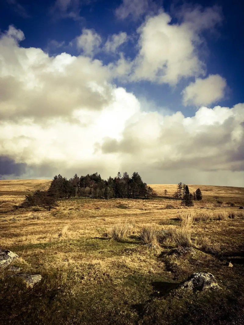 Tor, Dartmoor 2018 carta hahnemühle da Kerry Gerdes Photography
