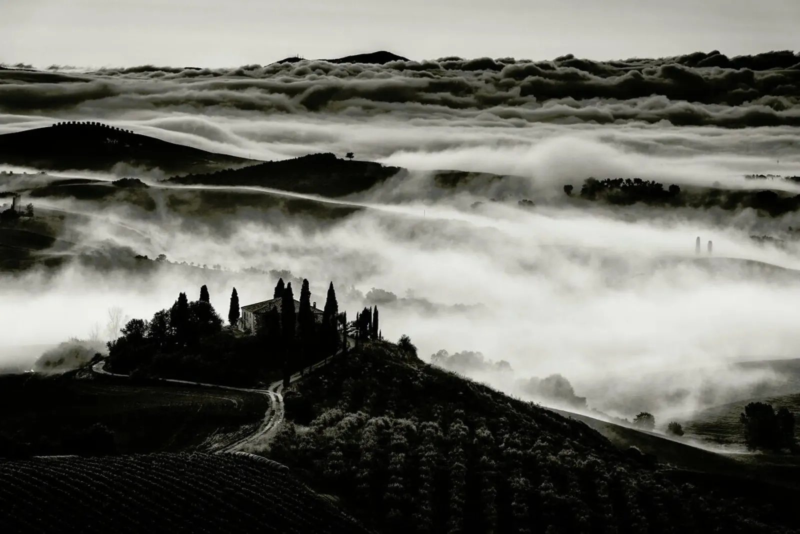 Tuscany - Nina Pauli alluminio dibond da Pictufy