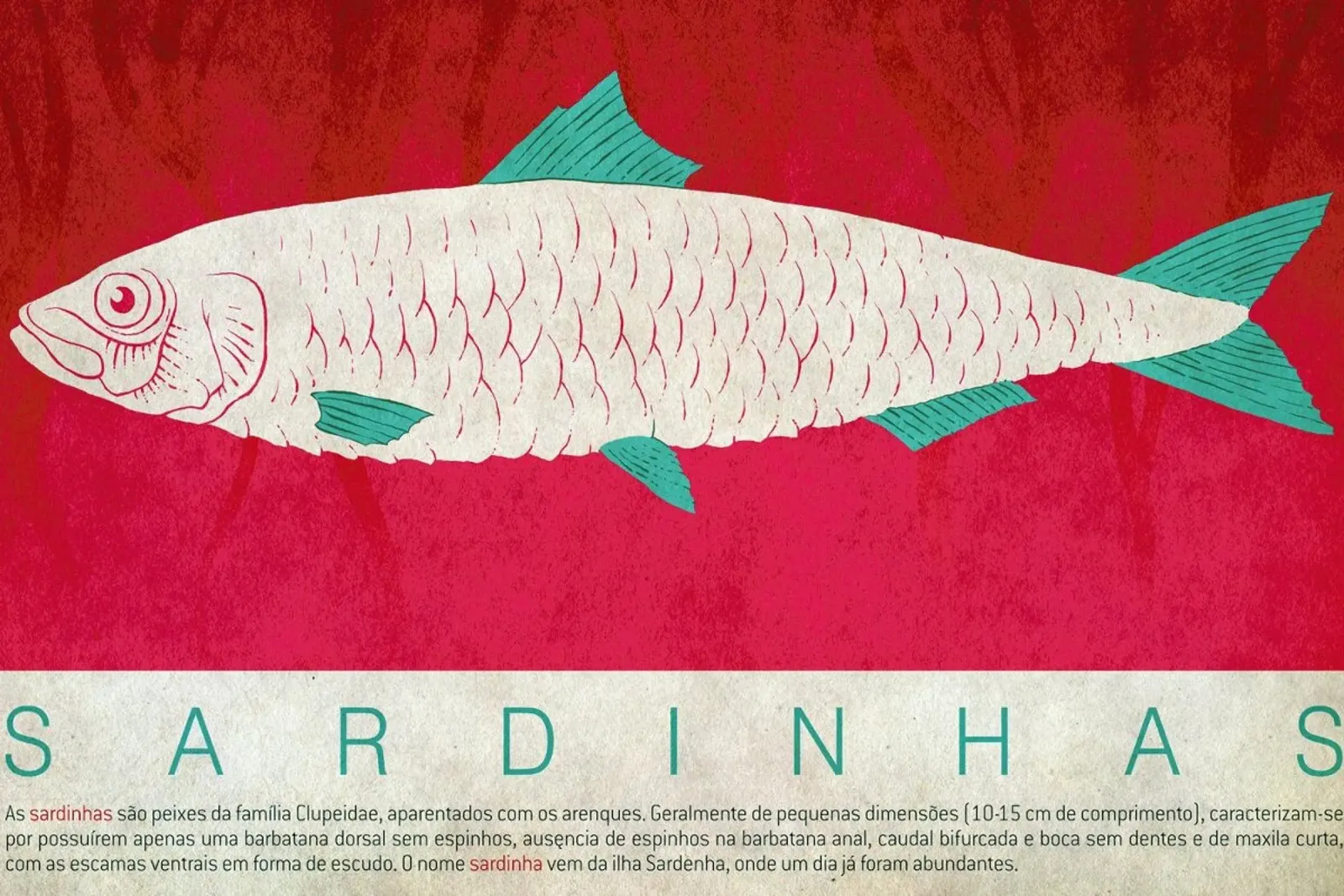 Sardinhas canvas by Kuba Gornowicz