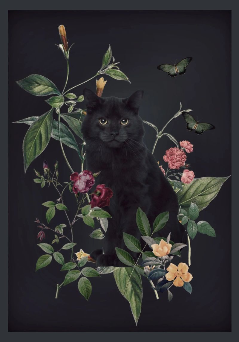 Garden Cat 2 poster by dada22