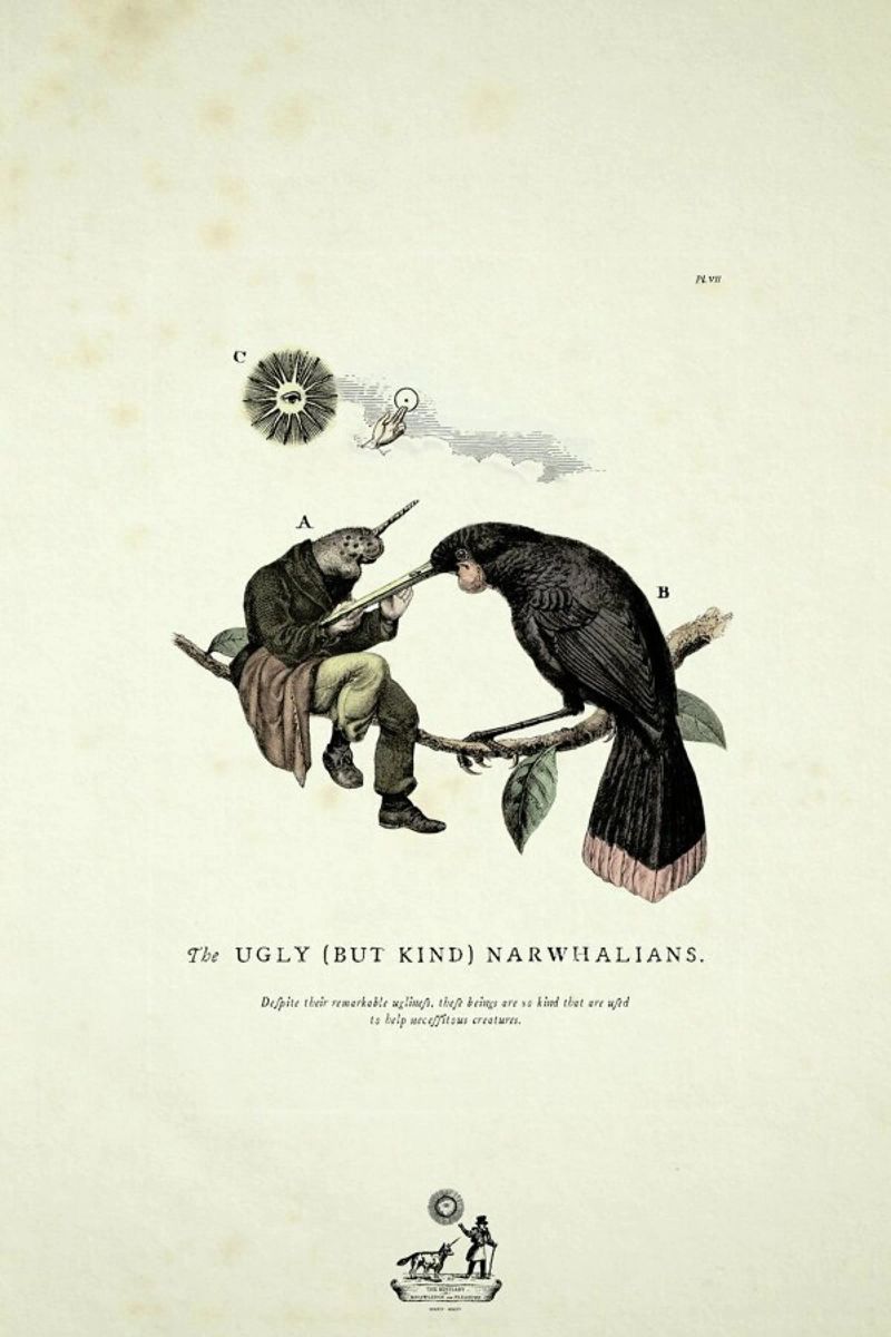 The kind narwhalians pellicola backlit da Matteo Morelli