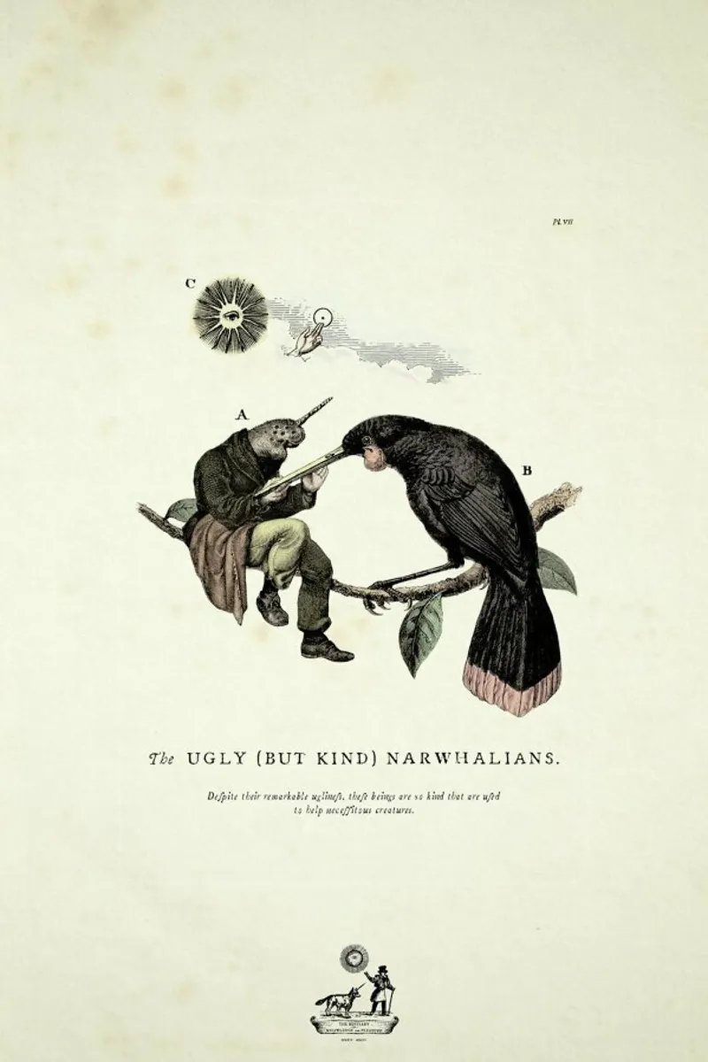 The kind narwhalians carta hahnemühle da Matteo Morelli
