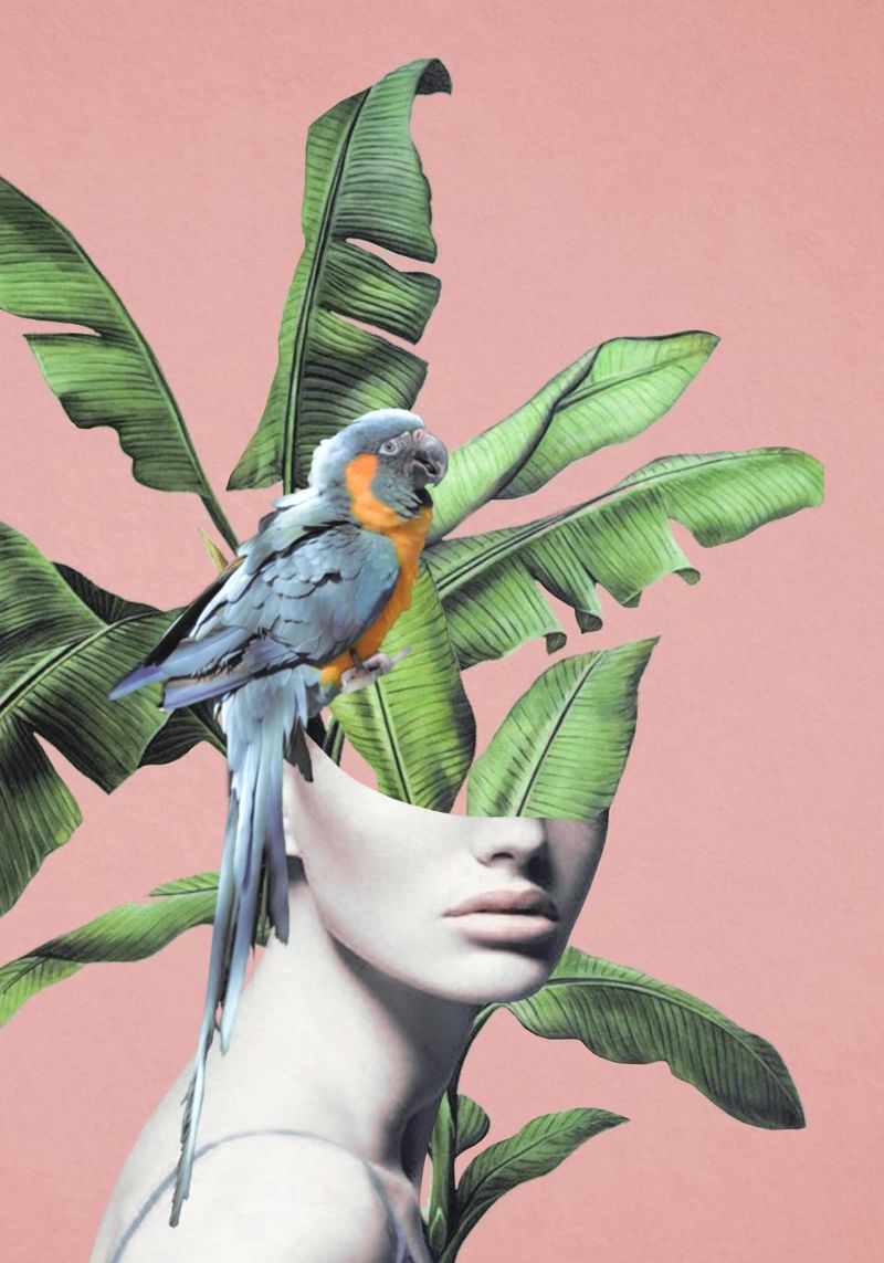 Fille tropicale 2 poster de dada22