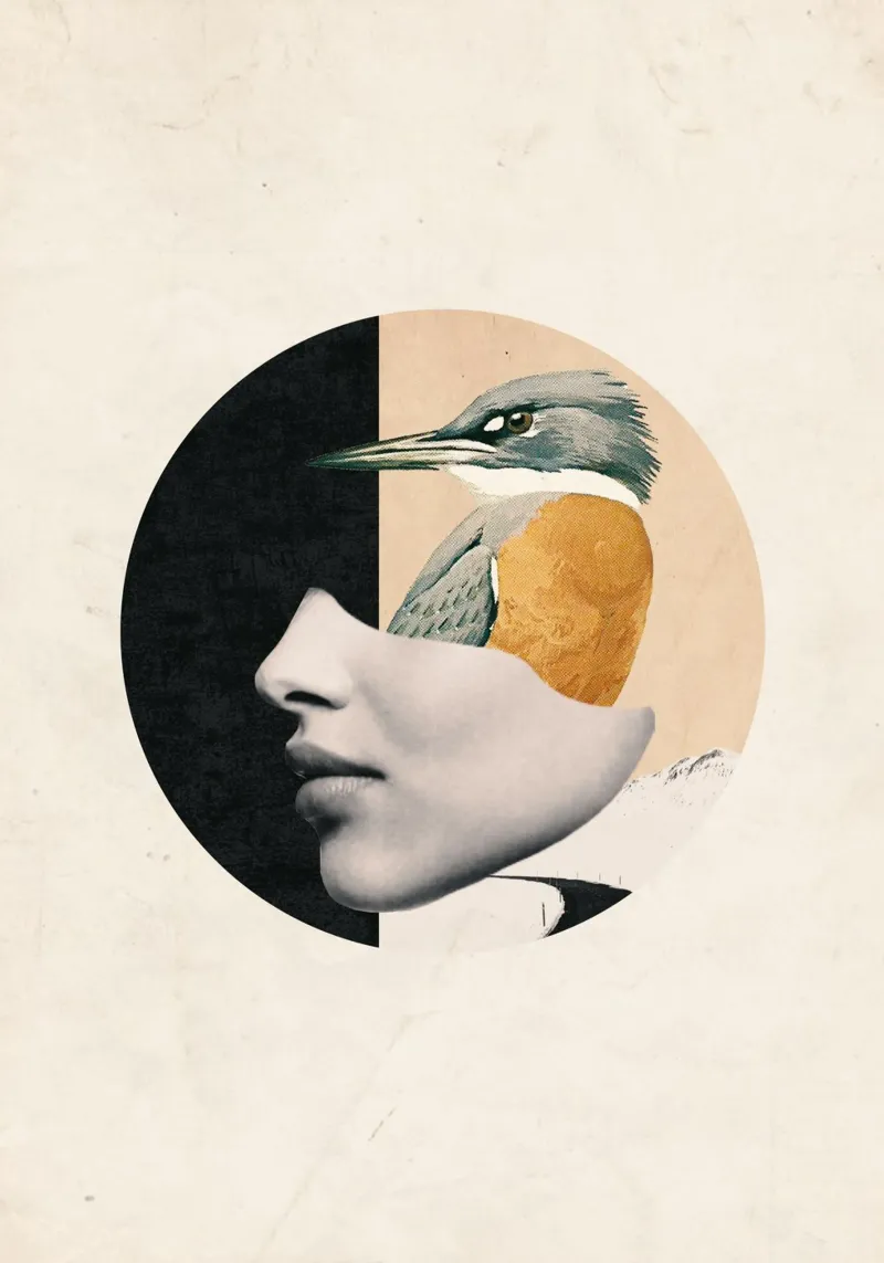 arte collage pájaro poster con marco de plástico de dada22