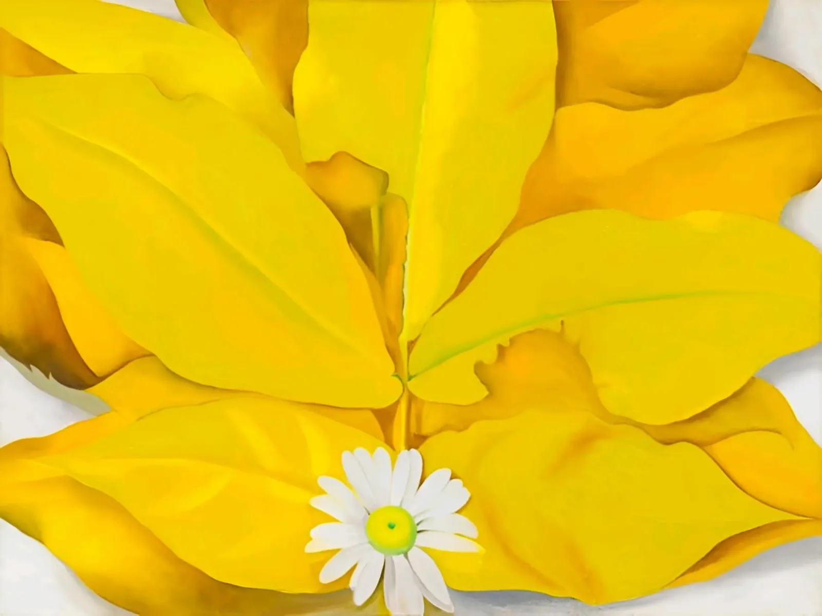Georgia O'Keeffe - Gelbe Hickory-Blätter mit Gänseblümchen Hahnemühle von Kinsley