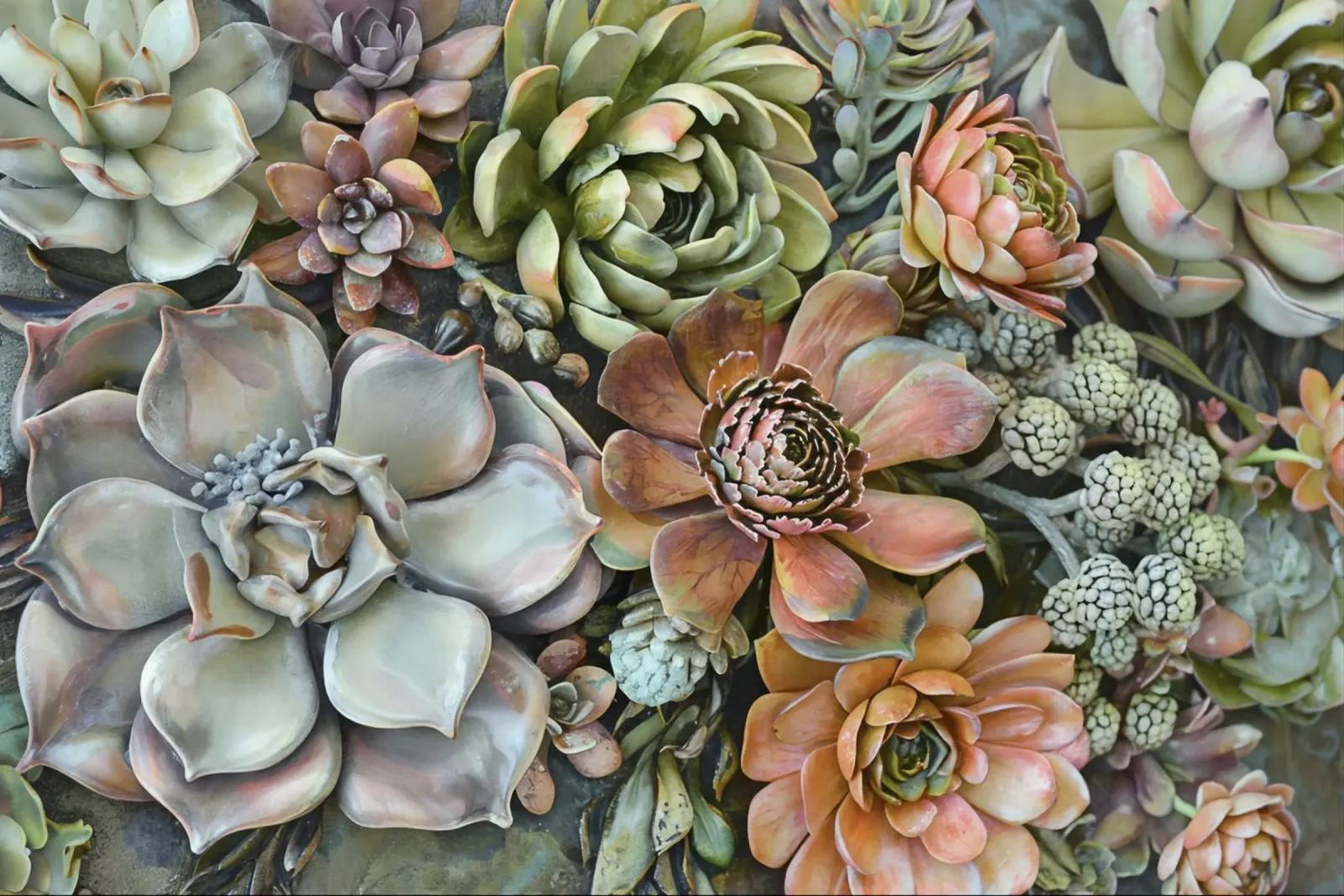 Giardino verticale di succulente botaniche pellicola backlit da Andrea Haase Floral Passion