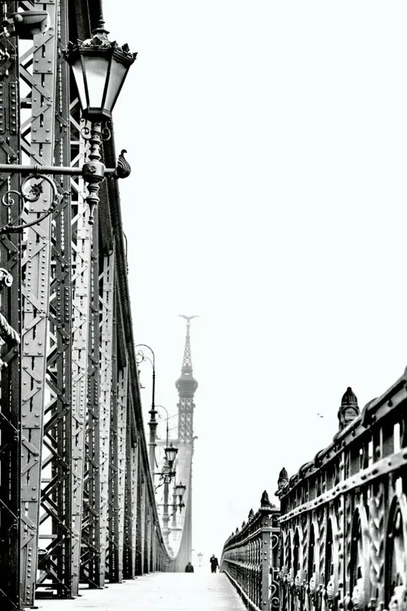 Liberty Bridge pellicola backlit da anderm