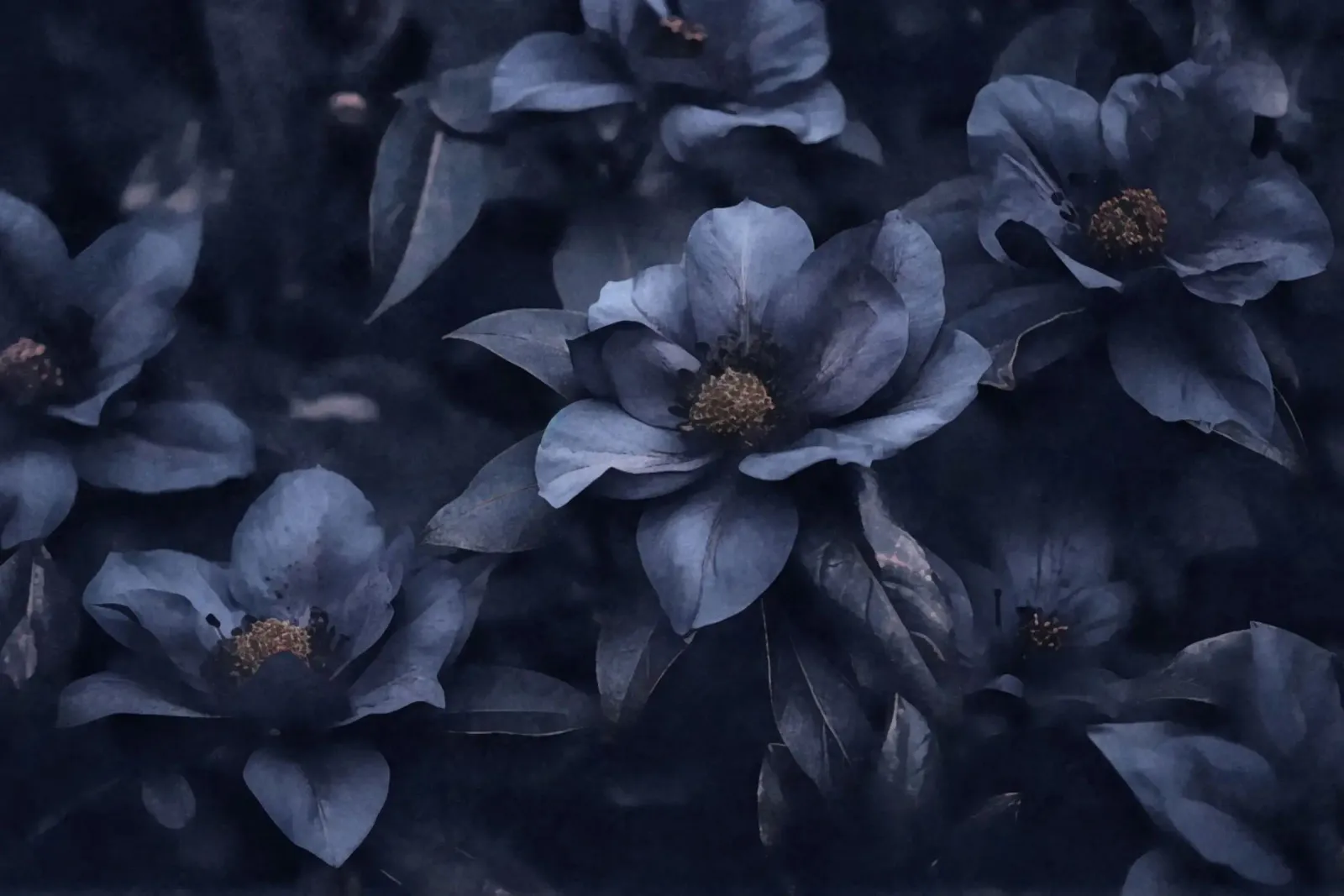 Fiori grandi di colore blu pellicola backlit da Andrea Haase Floral Passion