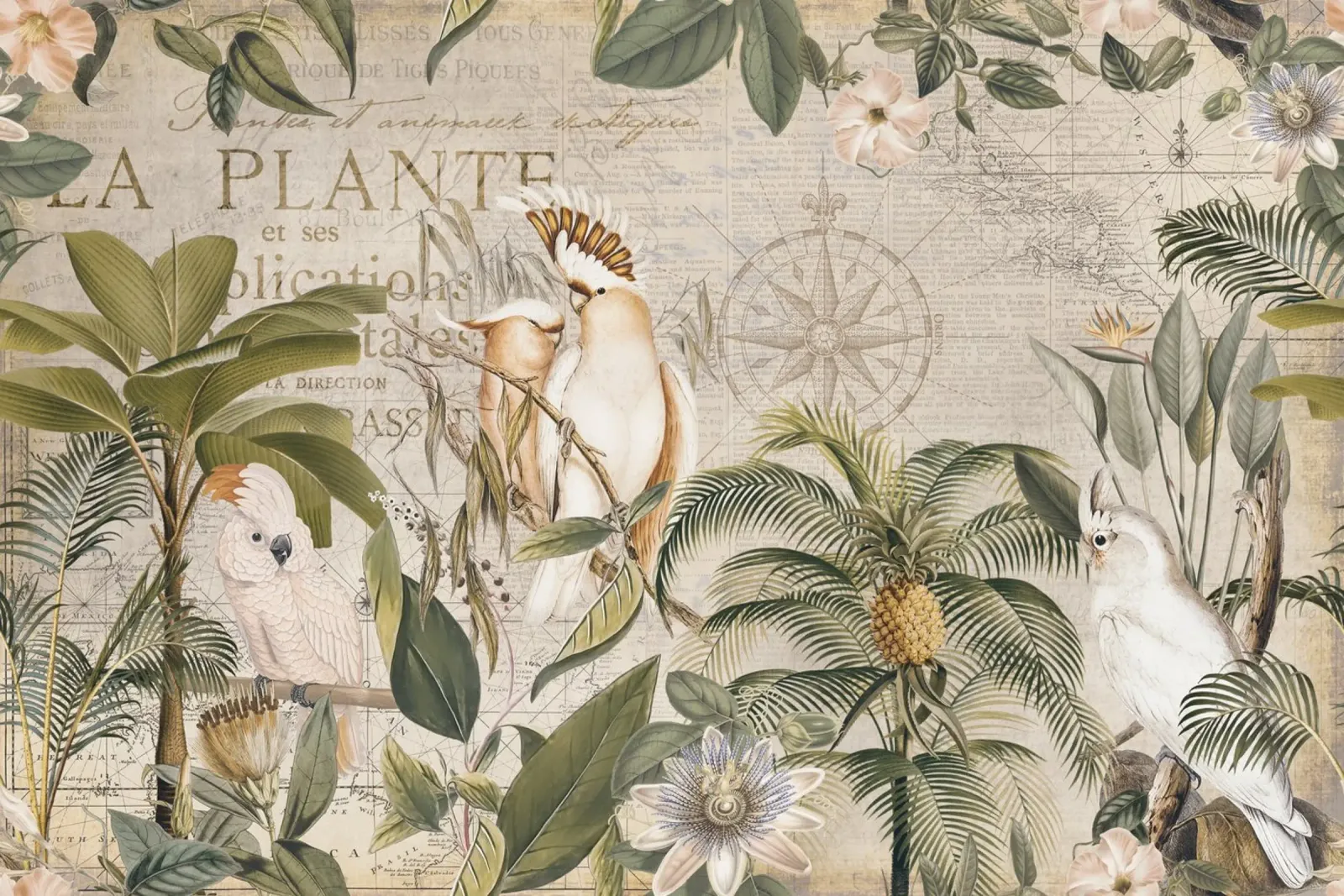 Paradiso dei cacatua d'epoca pellicola backlit da Andrea Haase Vintage World