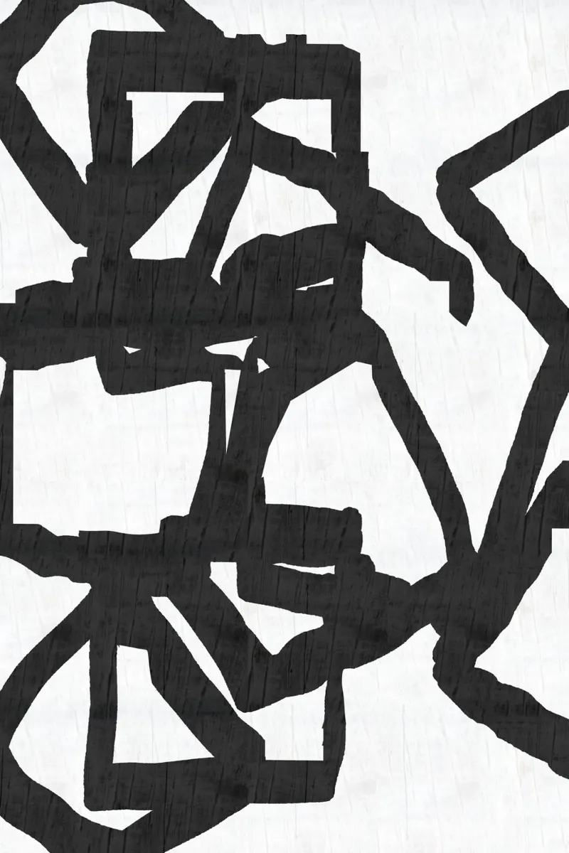 Noir e Inky 1 alluminio dibond da Cartissi