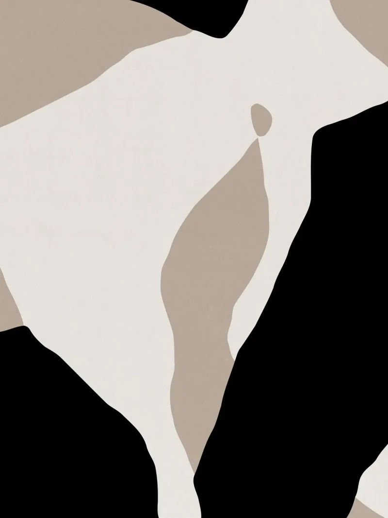 Shapes 7 | Neutral & Black Minimal Shape Abstract alluminio dibond da sabidussi