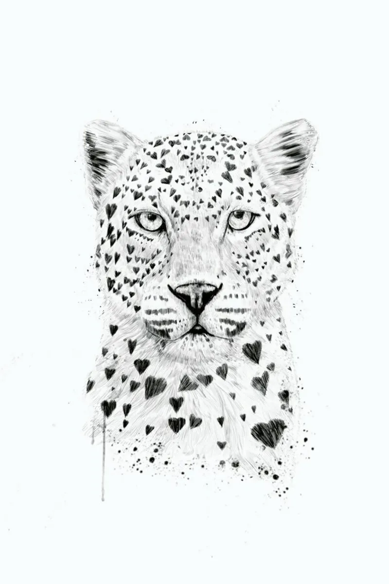 Lovely leopard pellicola backlit da Balazs Solti