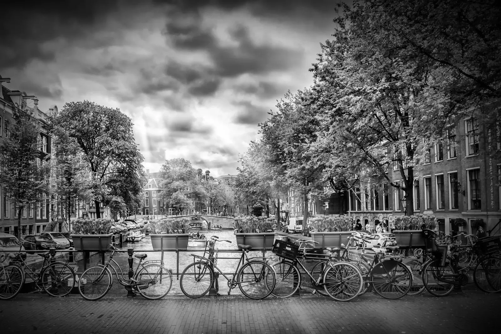 AMSTERDAM Herengracht | Vista tipica della città in monocromia pellicola backlit da Melanie Viola