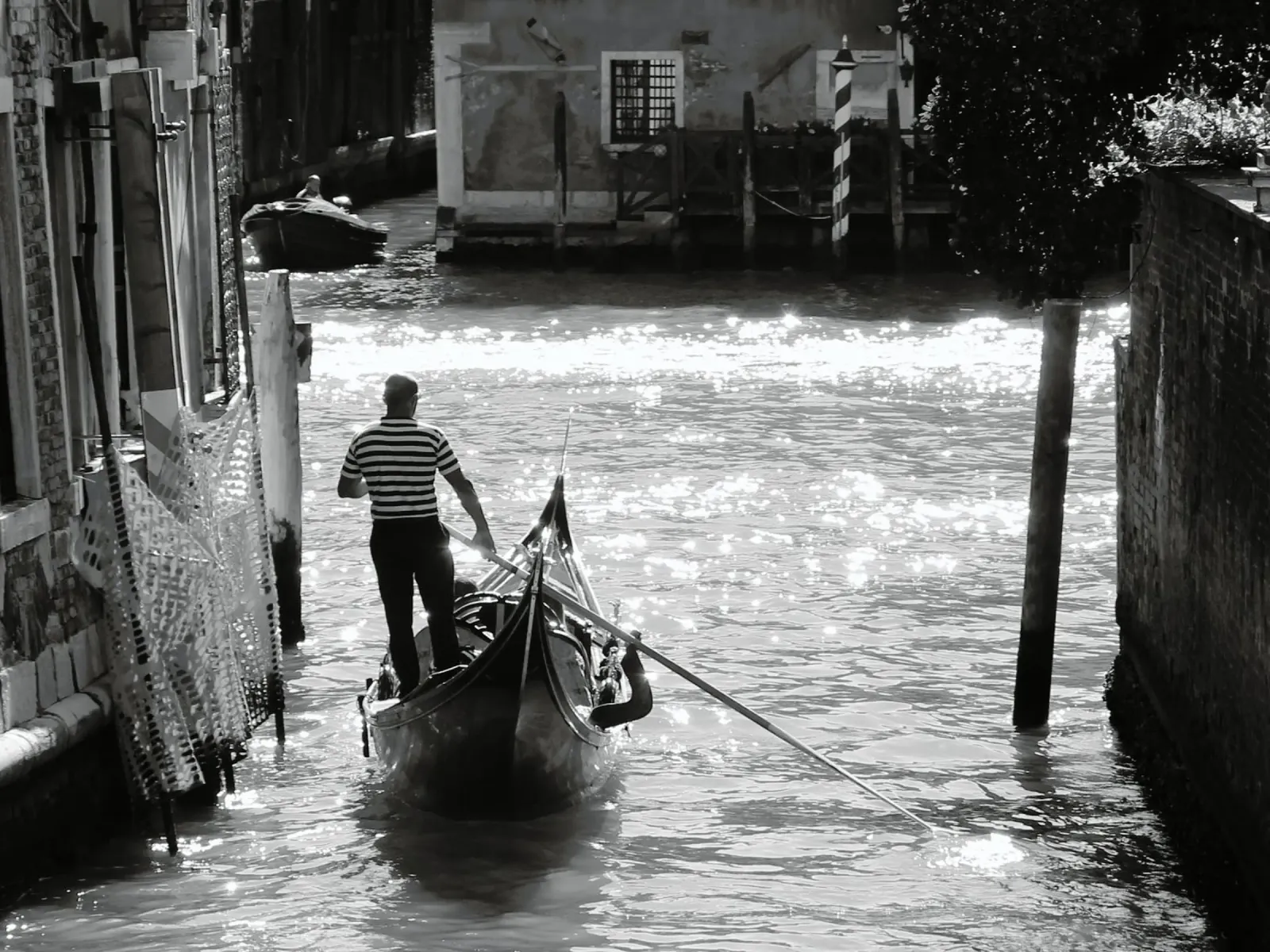 Venedig 01 alluminio dibond da eyes & tries