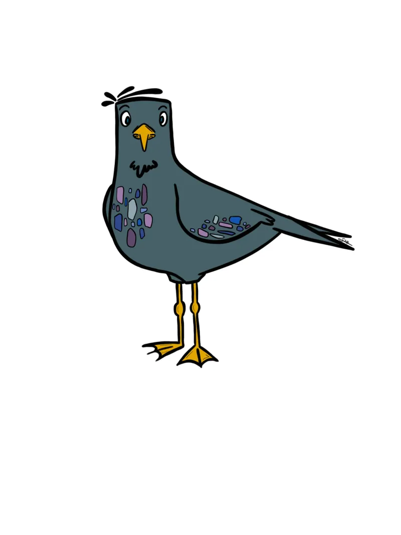 Birdy - Taubenmöve carta hahnemühle da STFI.studio