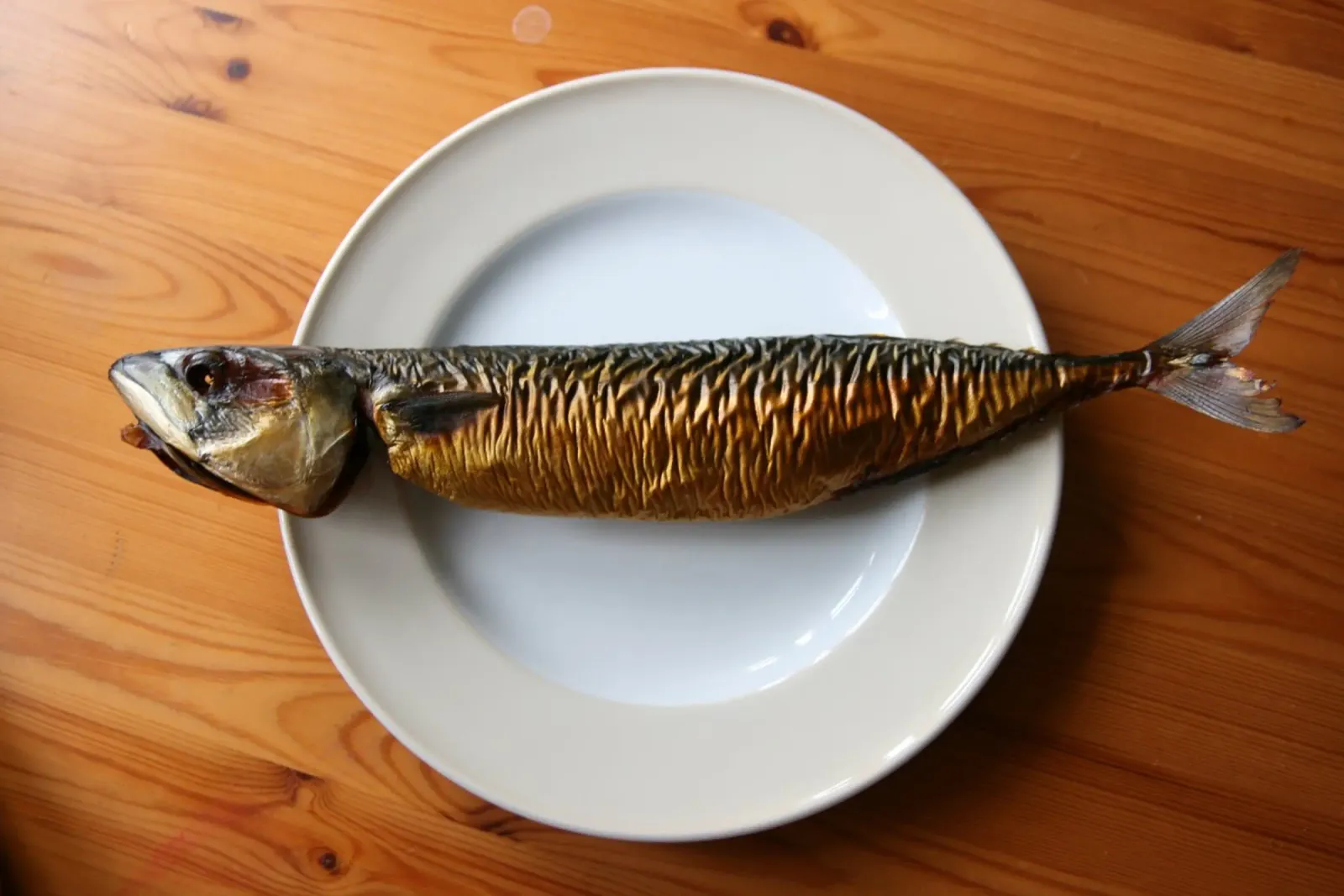 Pesce tela con Cornice a cassetta da eyes & tries
