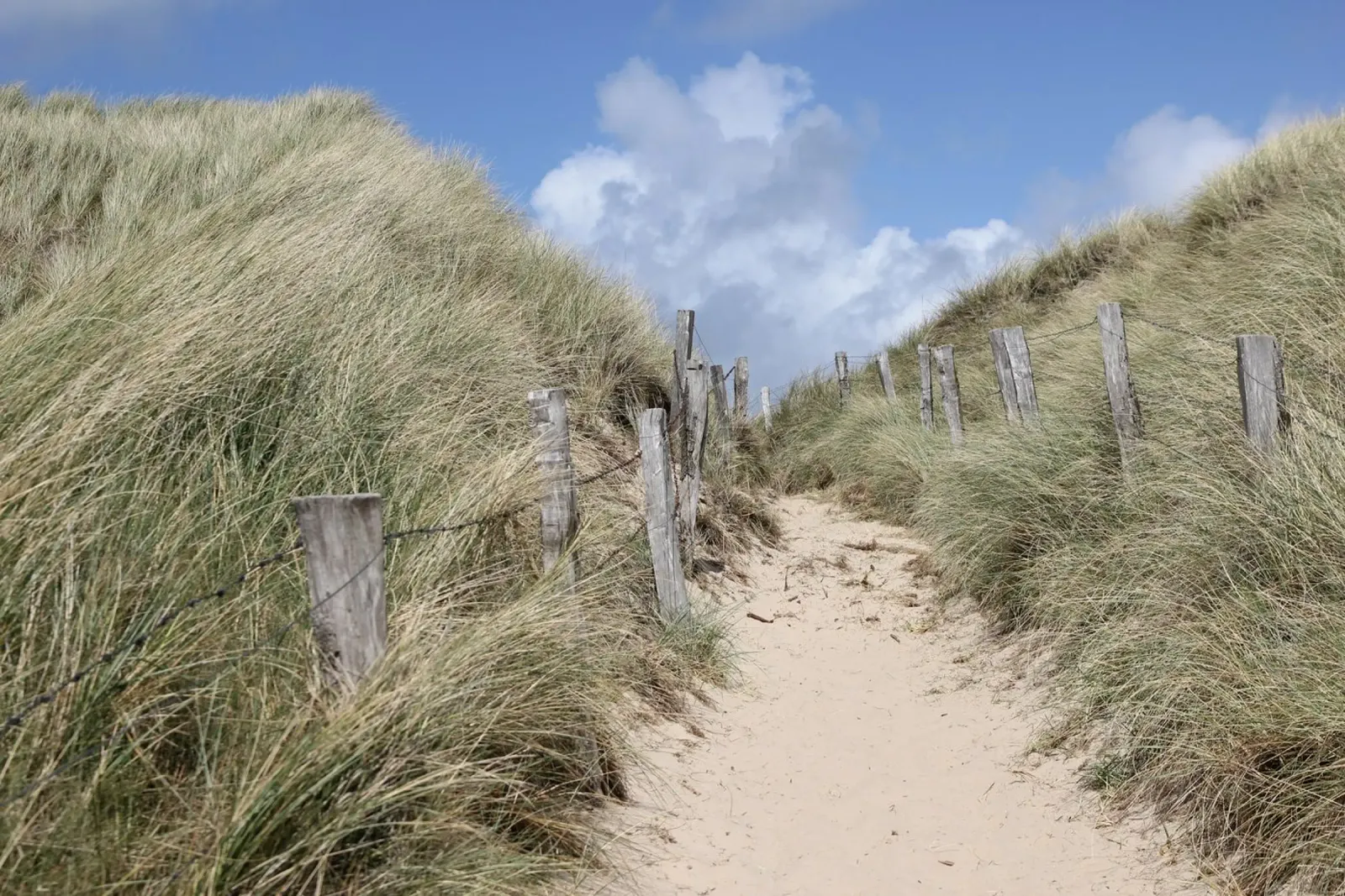 Acceso a la playa | Isla de Sylt metacrilato de eyes & tries